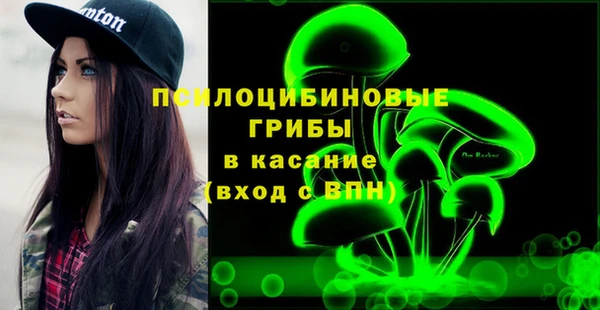гидропоника Белокуриха