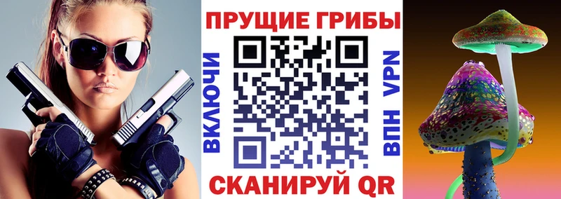 Галлюциногенные грибы GOLDEN TEACHER  где найти   Шали 