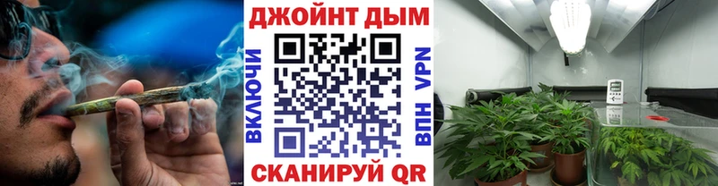 Бошки Шишки конопля  Шали 
